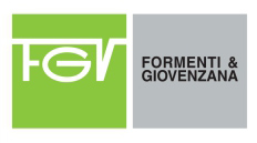 fgv_лого.jpg