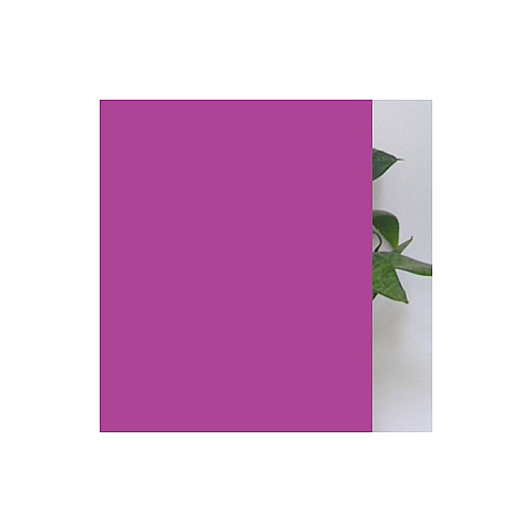 Лакобель Пурпурный