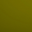 Олива Зеленая Р645 EvoGloss