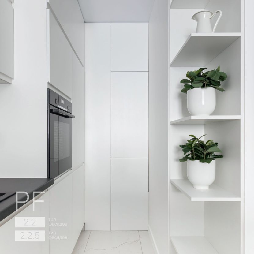 Функциональная монохромная кухня