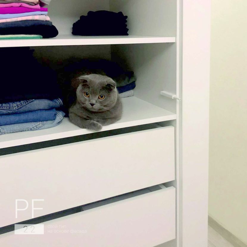 Корпусный шкаф с зеркалом 2.2 / 2