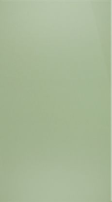 Evogloss | P010 Мята