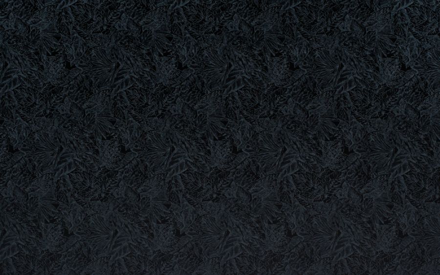 №2 Серебряный Лес
