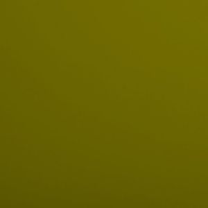Олива Зеленая Р645 EvoGloss