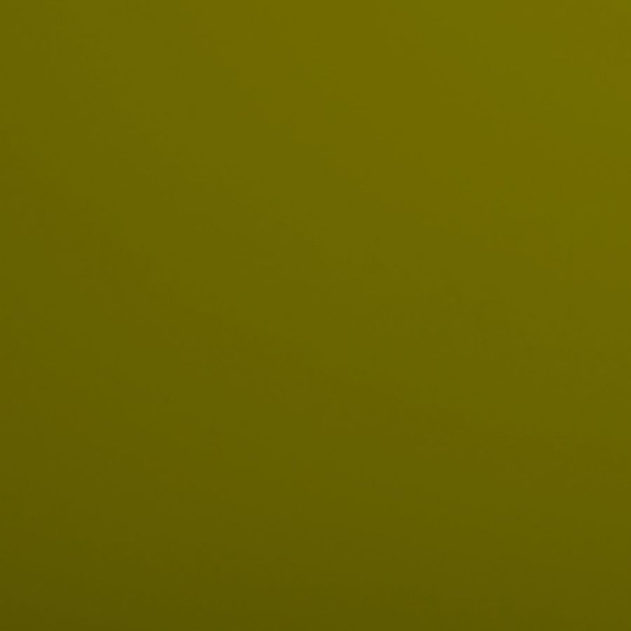Олива Зеленая Р645 EvoGloss