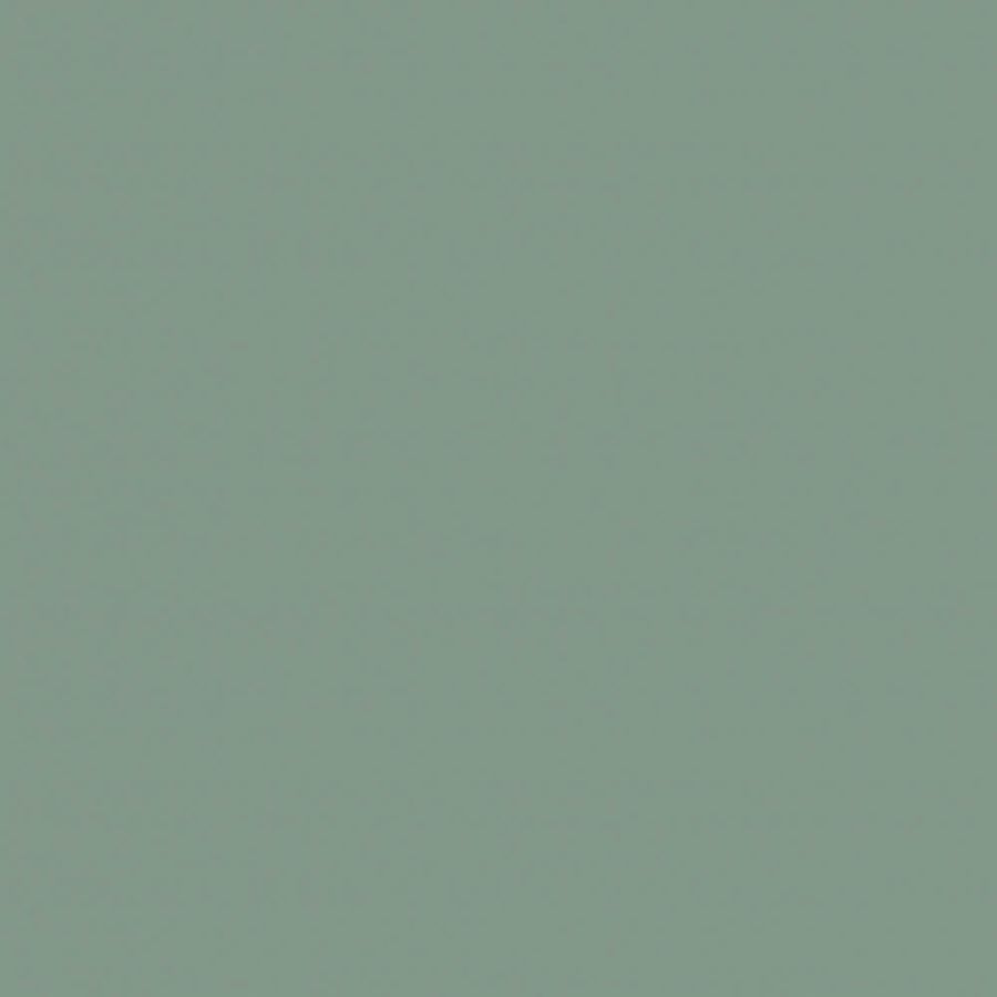 Мята Р010 EvoGloss