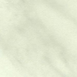 Мрамор Каррара 4947 P 38х600х760