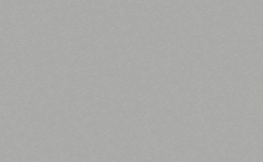 Металлик 4019 MAT 38х600х4200