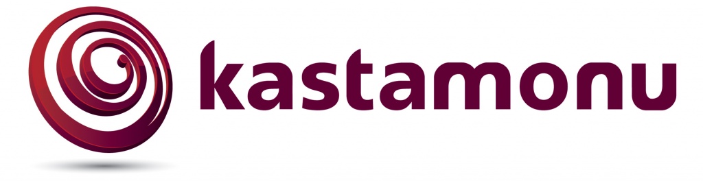 Логотип Kastamonu
