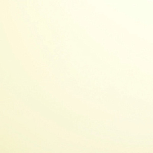 Бьянко Р101 EvoGloss