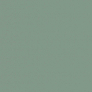 Мята Р010 EvoGloss