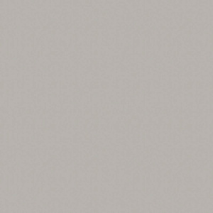 Темно-серый Р003 EvoGloss