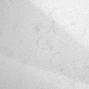 Белый Вьюн Р206 EvoGloss