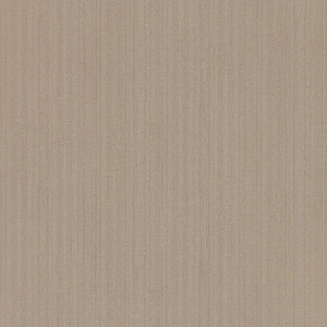 Звезда Кремовая Р245 Evogloss