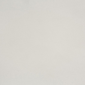 Светло-серый Р116 EvoGloss