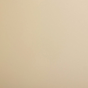 Вижен Р103 EvoGloss