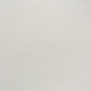 Светло-серый Р013 EvoGloss