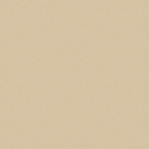 Вижен Р008 / Р732 EvoGloss