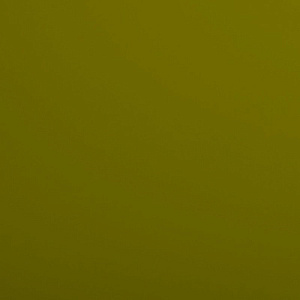 Олива Зеленая Р645 EvoGloss