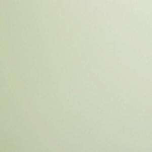 Новый Серый Р729 EvoGloss