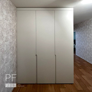 Корпусный шкаф в прихожую 2.2.9 / 2