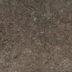 №289Т Аламбра Темная