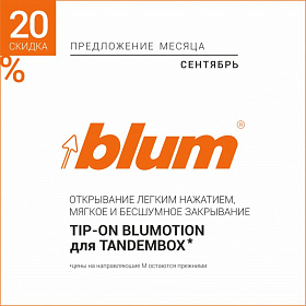 TIP-ON BLUMOTION для TANDEMBOX скидка 20%