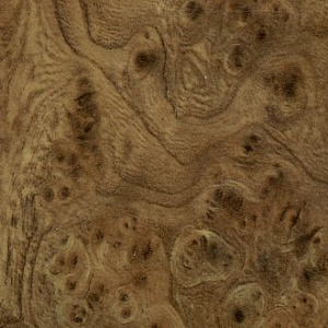 Корень 1306 P 10х600х3050
