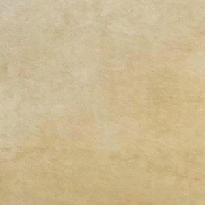 Земляной Латте Р674 EvoGloss