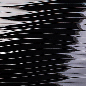 Черная Волна Р233 EvoGloss